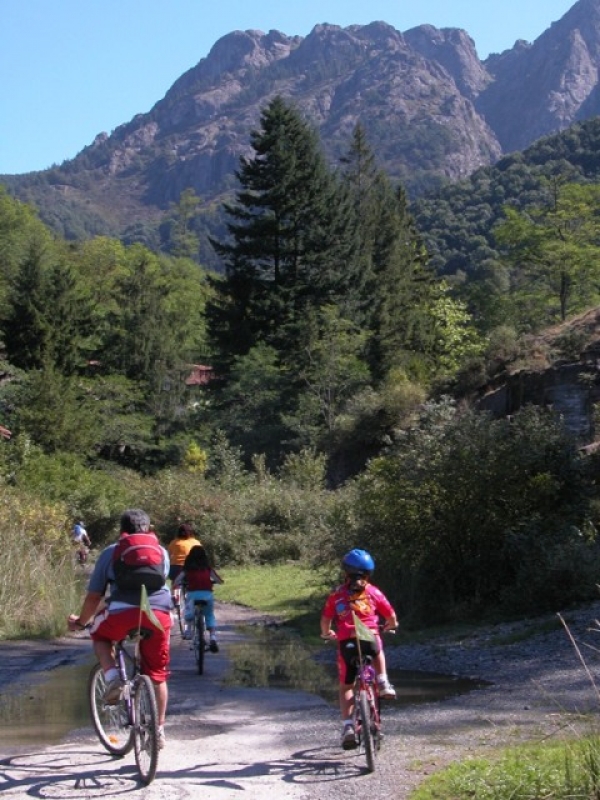 Vía Verde de Arditurri