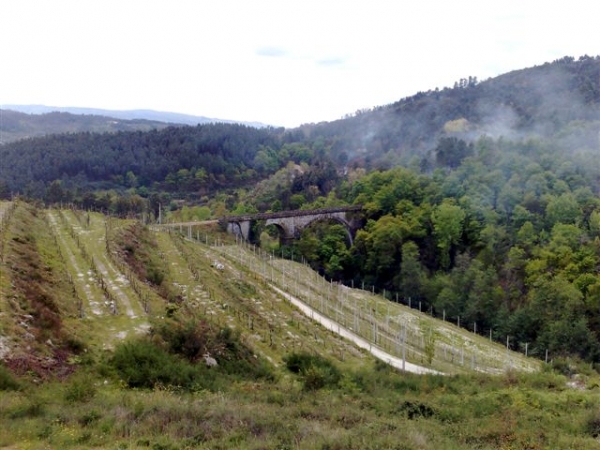 Ecopista da Linha do Tâmega