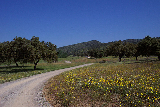 Vía Verde de la Sierra Norte de Sevilla