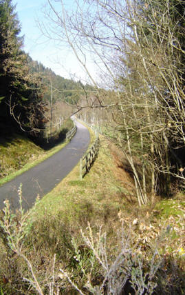 Voie verte des hautes Vosges