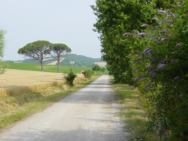 Voie Verte Albi - Castres